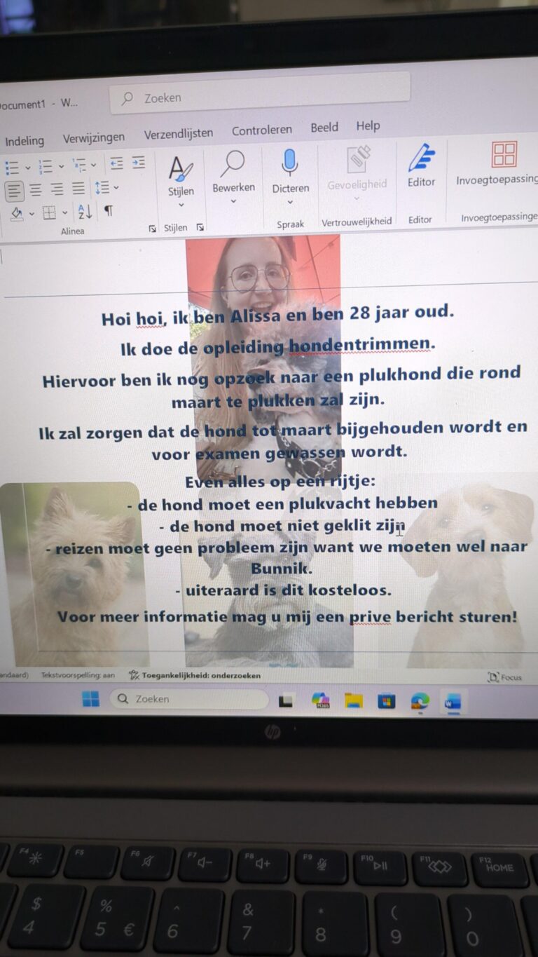 Plukhond gezocht…