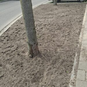 GroenDoenDag-5-14
