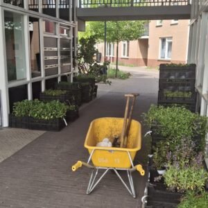 GroenDoenDag-5-15