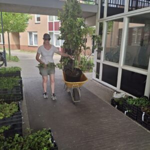GroenDoenDag-5-16