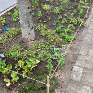 GroenDoenDag-5-23