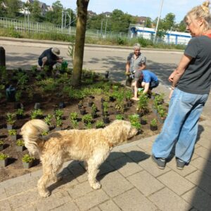 GroenDoenDag-5-7